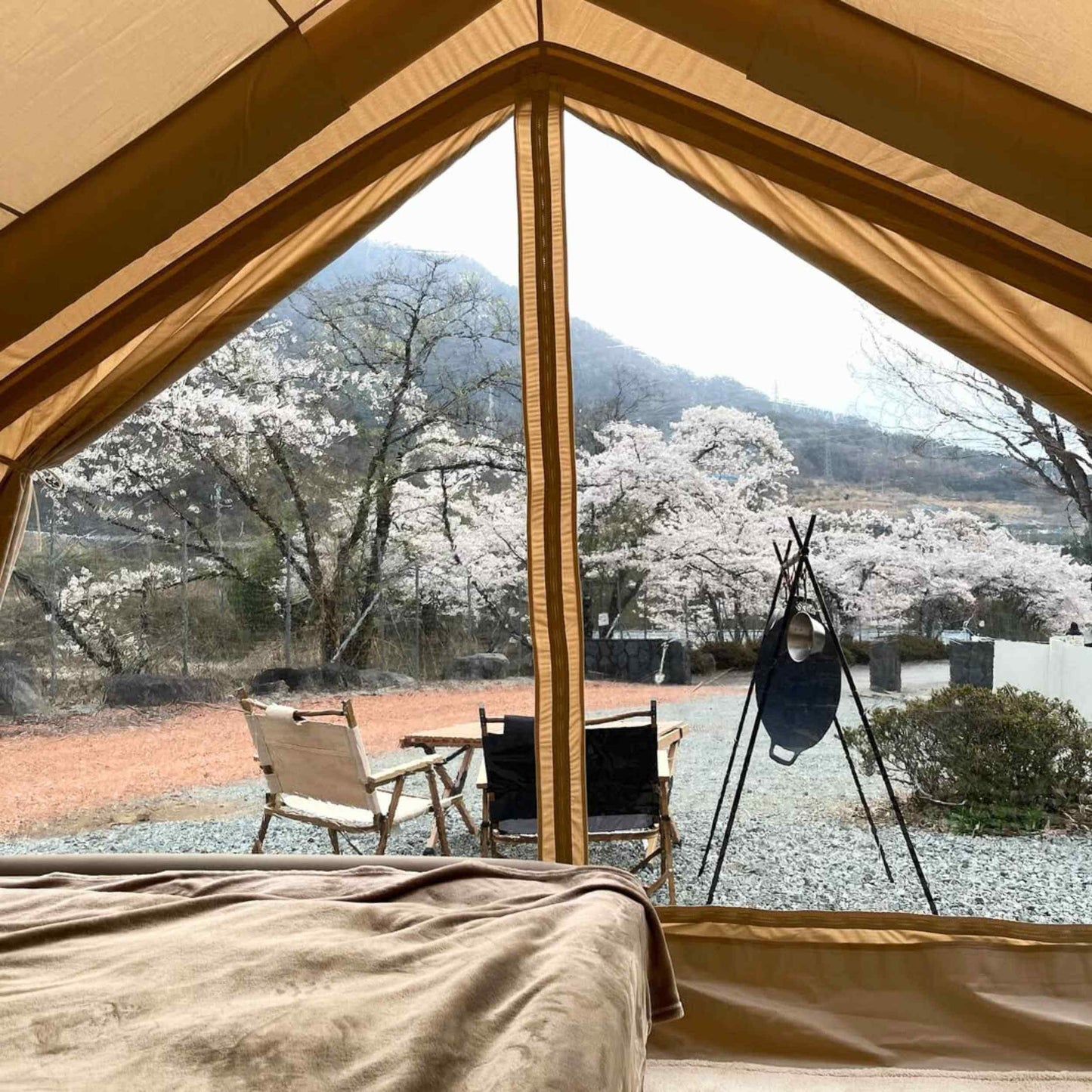 Coody 13.6 (Koala-5) Beige Inflatable Tent House for Camping (2-8 person)
