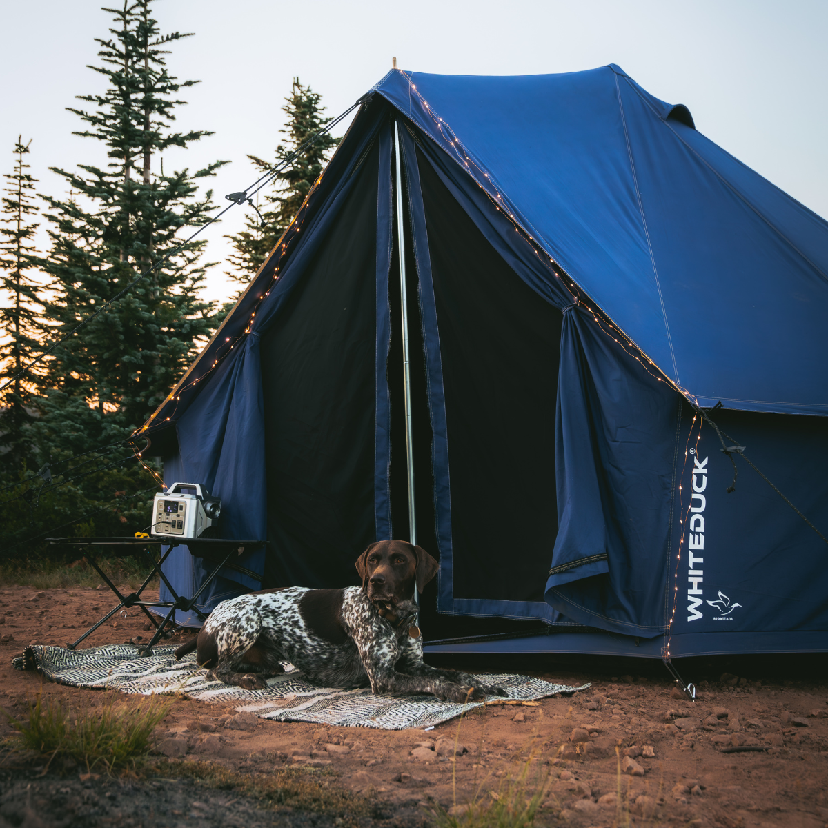 White Duck Outdoors - 16' Regatta Bell Tent - Sapphire Blue