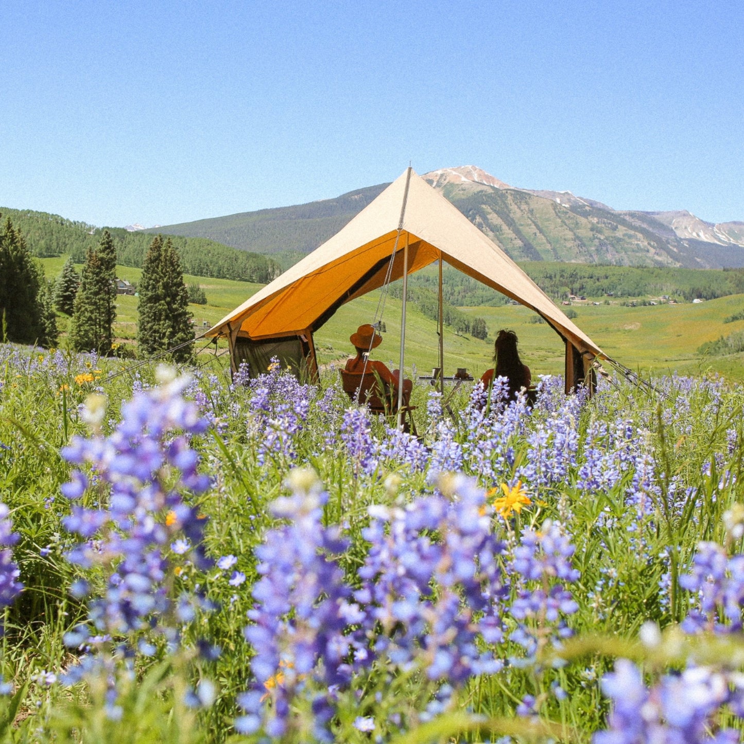 White Duck Outdoors - Rover Scout Tent