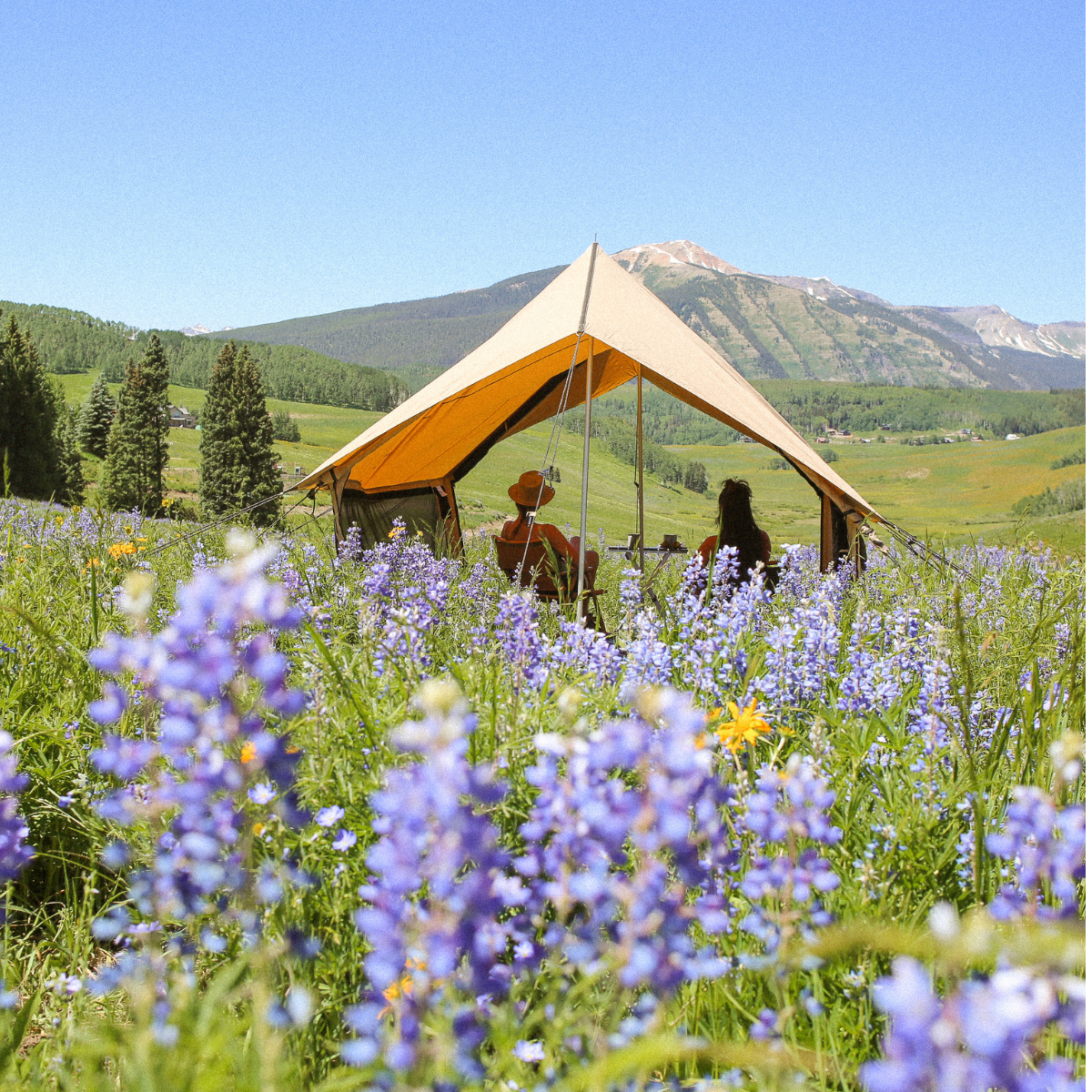 White Duck Outdoors - Rover Scout Tent 8'x13'