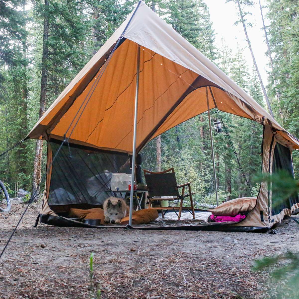 White Duck Outdoors - Rover Scout Tent 8'x13'