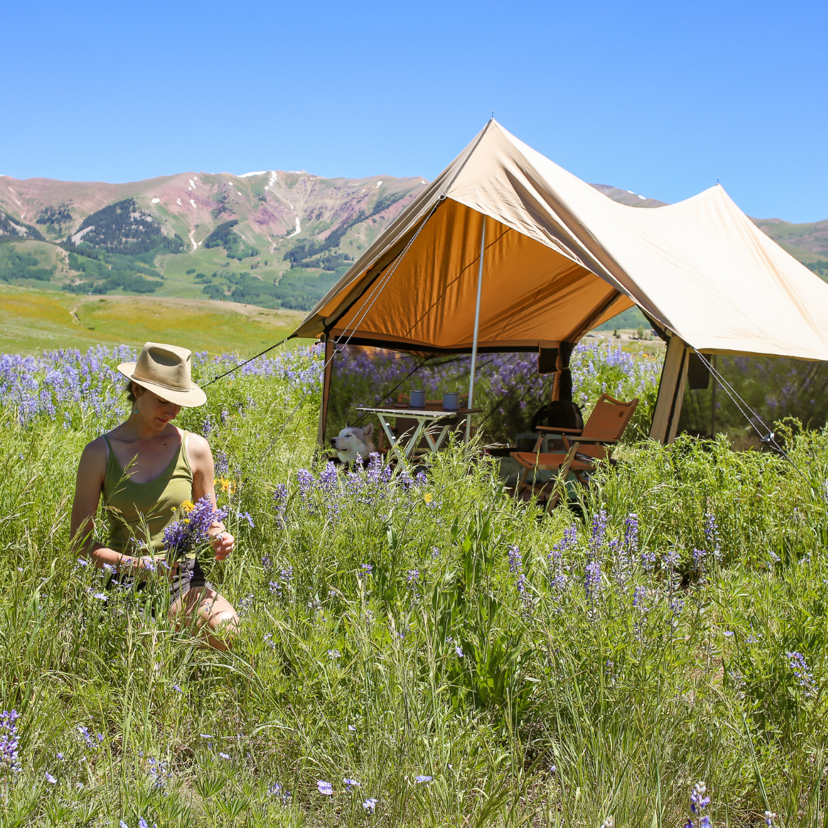 White Duck Outdoors - Rover Scout Tent 8'x13'