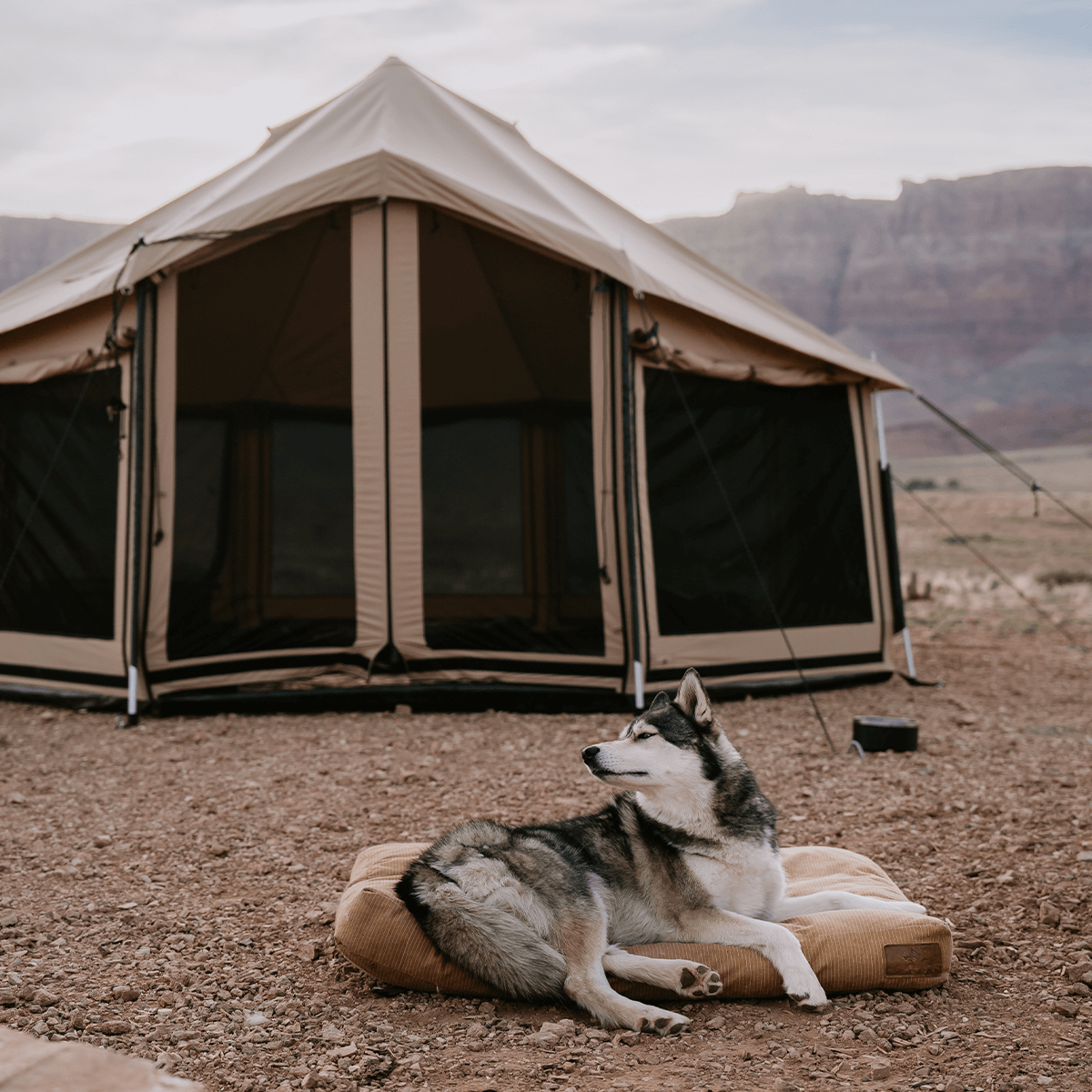 White Duck Outdoors - Altimus Bell Tent
