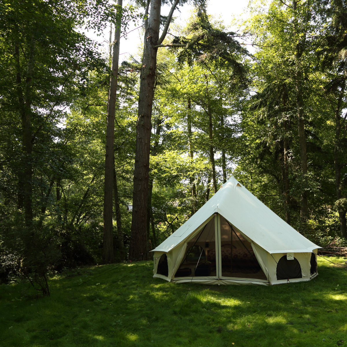White Duck Outdoors - 16.5' Avalon Bell Tent