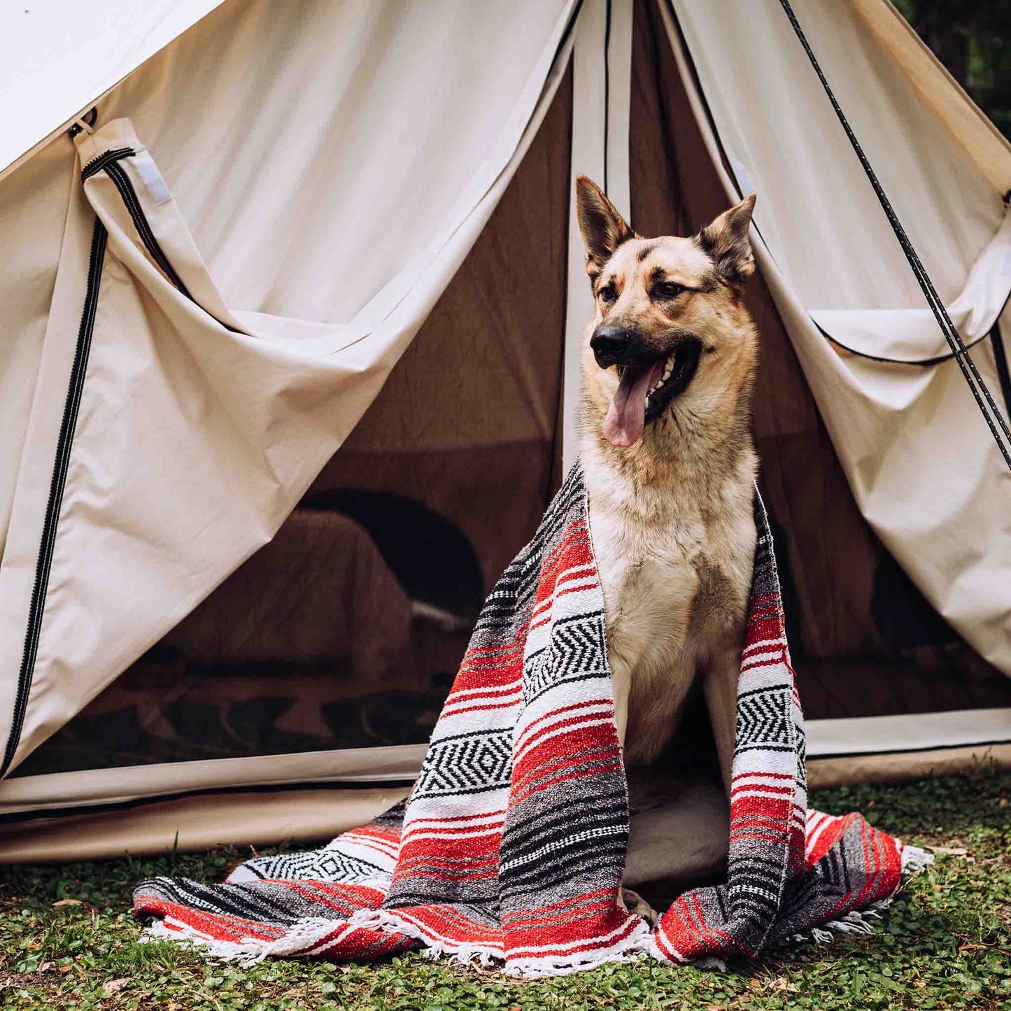 White Duck Outdoors - Avalon Bell Tent