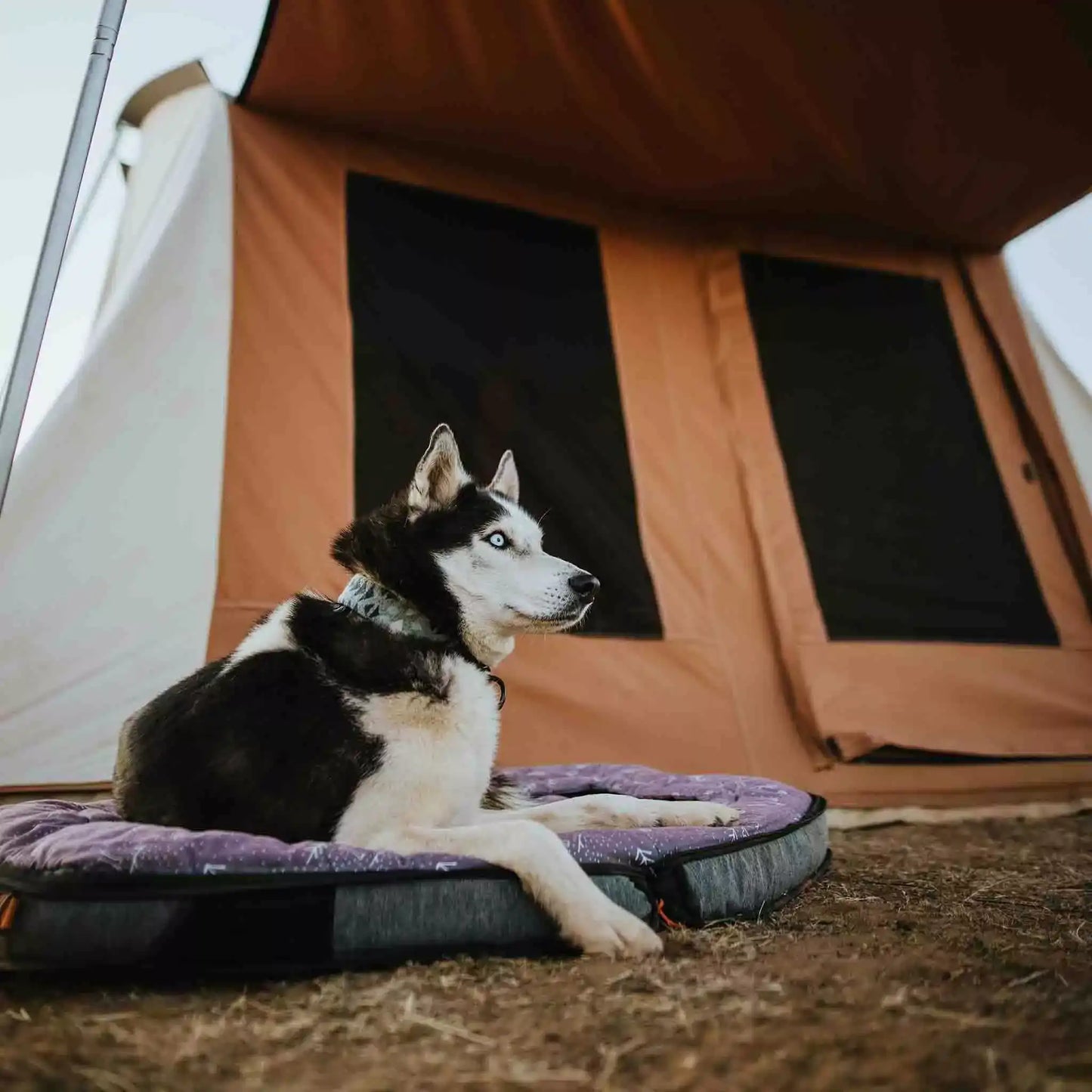White Duck Outdoors - USED - 10'x10' Prota Canvas Tent, Deluxe